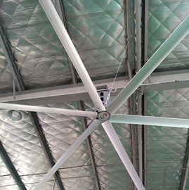 Fans de techo grandes AWF49/fans de techo industriales grandes con 6 cuchillas